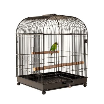 Bremond 23.6 '' Iron Play Top Travel Parrot & Conure With Perch