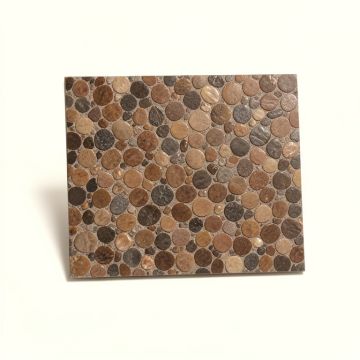 Mother Pearl 12 '' X 12 '' Seashell Mosaic Tile (synthetic illustration; no displayed measurements)