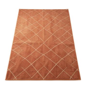 Birch Bluff Rectangular Area Rug - Terracotta