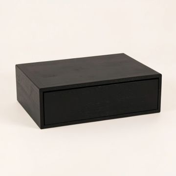 Spruce Arc Desktop Monitor Riser (synthetic illustration; no displayed measurements)