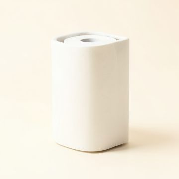 Espana Mount Toilet Paper Holder (synthetic illustration; no displayed measurements)
