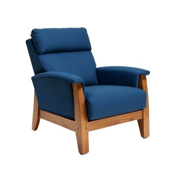 Arzoi 34.5 '' Wide Power Lift Assist Standard Recliner