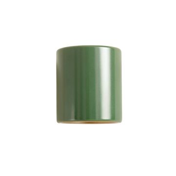 Holly Dale Wall Sconce Mounted On A Plain Wall - Green