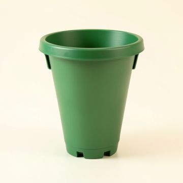 Holly Arc Empty Railing Planter With Integral Brackets (synthetic illustration; no displayed measurements)