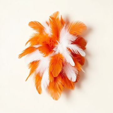 Feather Wall Décor (synthetic illustration; no displayed measurements)
