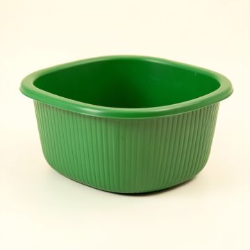 Dune Bluff Empty Storage Basket - Green (synthetic illustration; no displayed measurements)