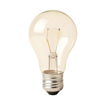 Incandescent Light Bulb
