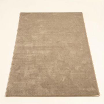Hayner Area Rug (synthetic illustration; no displayed measurements)