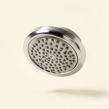 Loure 2.5 Gpm Single-Function Shower Head With Katalyst Air-Induction Spray (synthetic illustration; no displayed measurements)