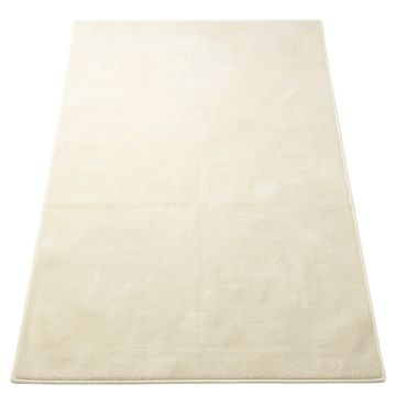 Connie Slate/Cream Area Rug (synthetic illustration; no displayed measurements)