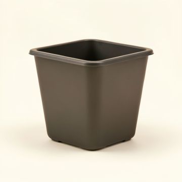 Reider Self-Watering Plastic Window Box Planter (synthetic illustration; no displayed measurements)