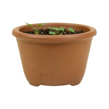 Vanmatre Water Hyacinth Planter Box