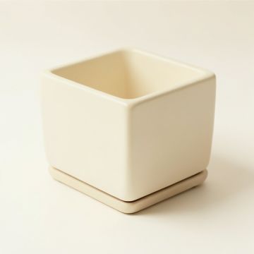 Birch Brook Empty Planter - Ivory (synthetic illustration; no displayed measurements)