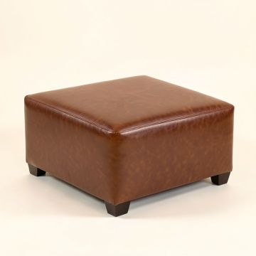 Vishvanath 18 '' Square Standard Ottoman (synthetic illustration; no displayed measurements)