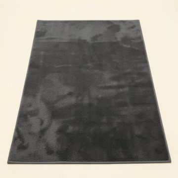 Emesa Shag Dark Gray Area Rug (synthetic illustration; no displayed measurements)