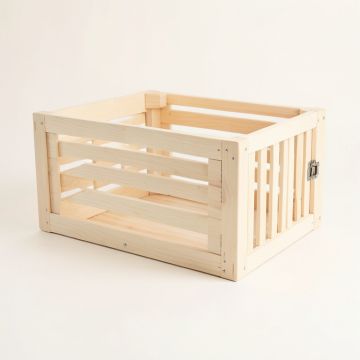 Spruce Falls Empty Furniture-Style Pet Crate - Ivory (synthetic illustration; no displayed measurements)