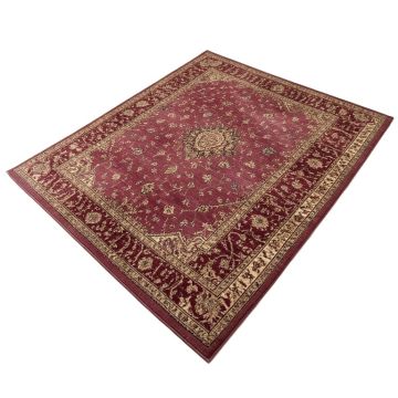 Raul Oriental Plum Area Rug