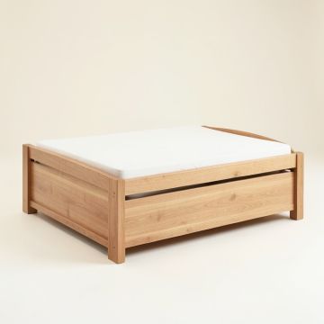 Fedai Daybed With Trundle (synthetic illustration; no displayed measurements)