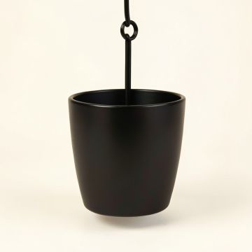Rothstein Metal Hanging Planter (synthetic illustration; no displayed measurements)