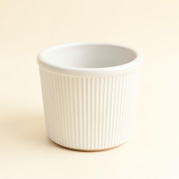 Wren Arc Empty Planter - White (synthetic illustration; no displayed measurements)