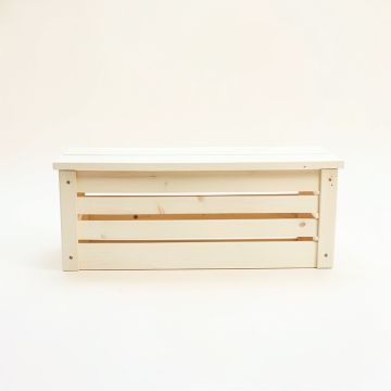 Clay Bridge Narrow Outdoor Storage Bench - Ivory (synthetic illustration; no displayed measurements)