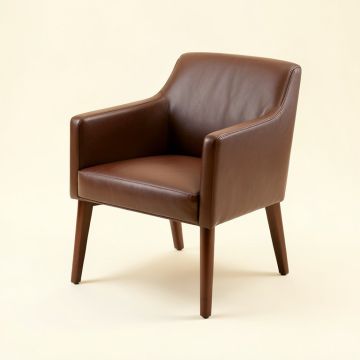Androscogin Side Chair (synthetic illustration; no displayed measurements)
