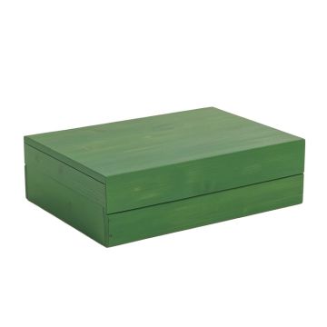 Holly Dale Desktop Monitor Riser - Green