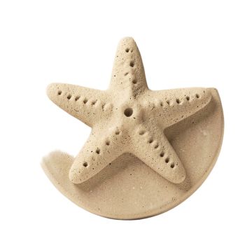 6 '' X 6 '' Cement Star Fish Fossil Impression Medallion Tile In Buff