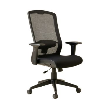 Griggsville Ergonomic Mesh Executive Chair