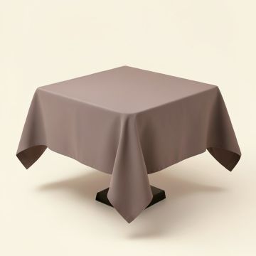 Wayfair Basics Solid Color Square Tablecloth (synthetic illustration; no displayed measurements)