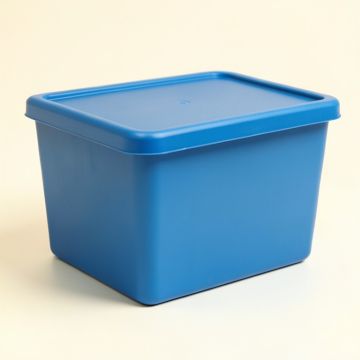 Oak Arc Closed Outdoor Storage Box - Blue (synthetic illustration; no displayed measurements)