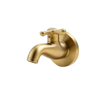 Atrio Wall Mounted Bathroom Faucet